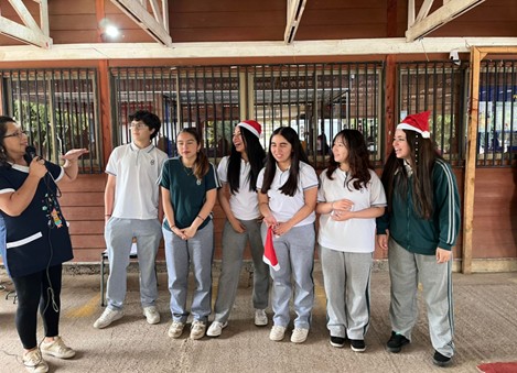 Imagen9