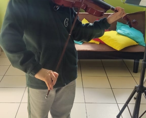 Violín - 6